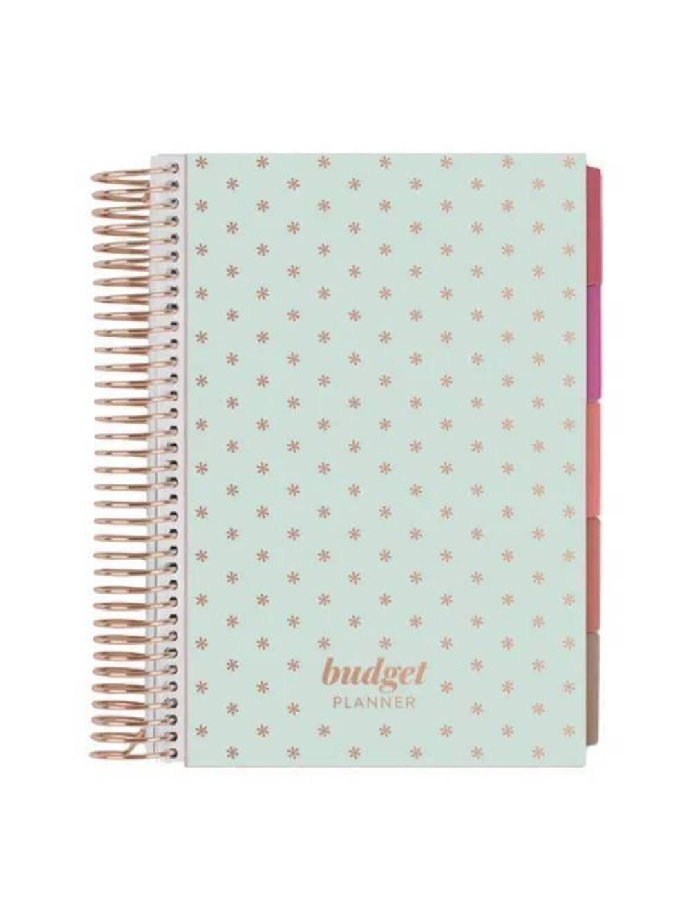 Erin Condren A5 Budget Planner